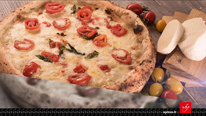 video-apizza-regatta