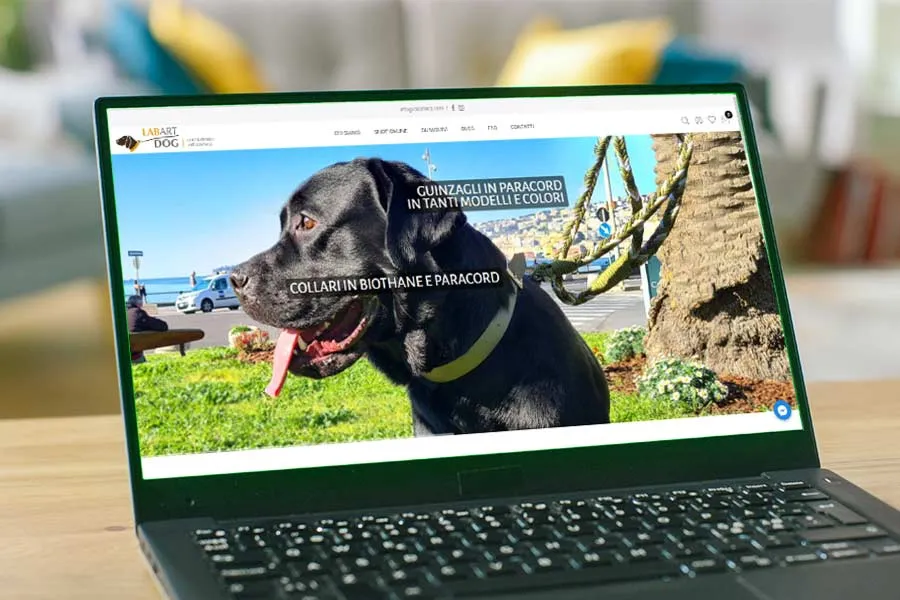 siti-ecommerce-responsivi-ateacme-napoli-labartdog-1
