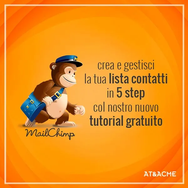 ateacme-tutorial-lista-mailchimp-new