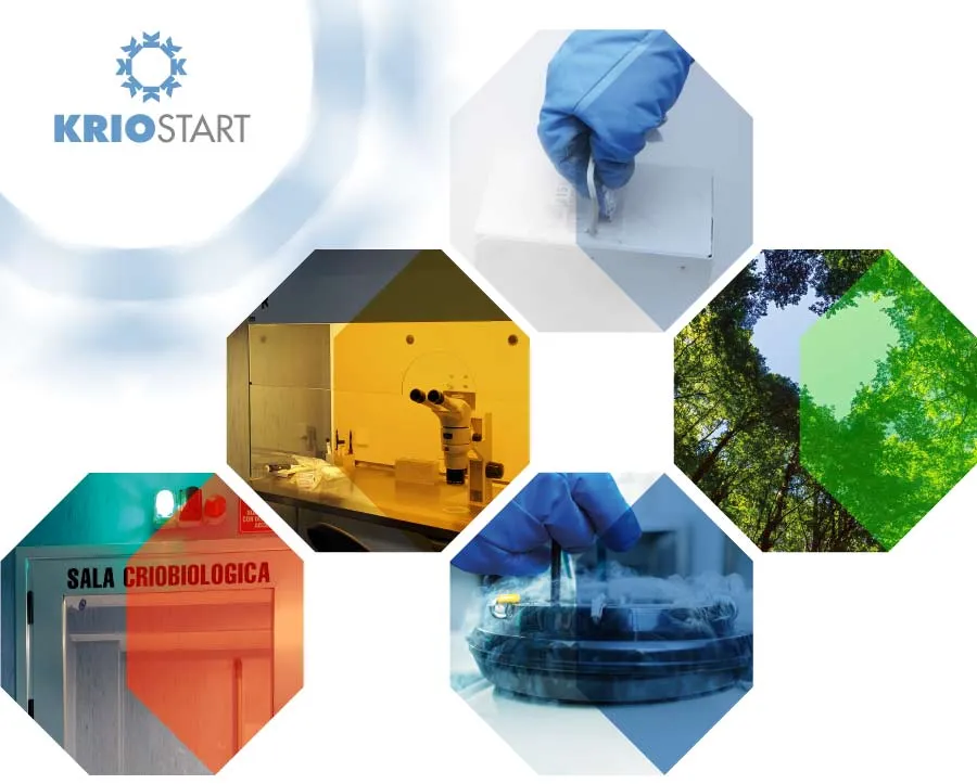 brochure-kriostart-ateacme